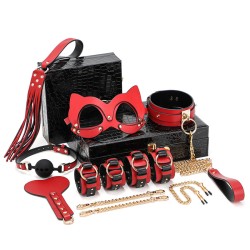 luxury bondage kit with case